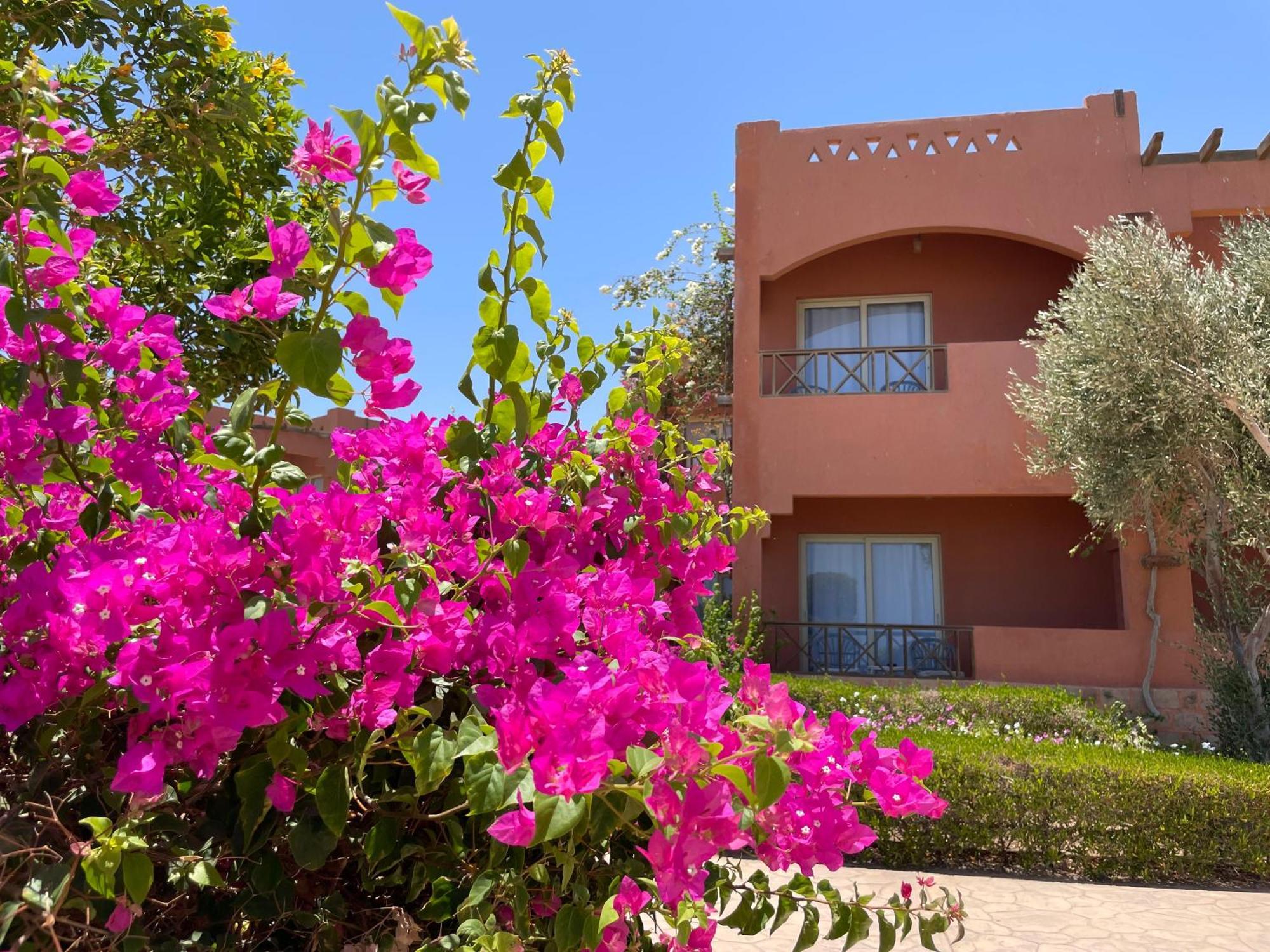 Soulotel Emerald Resort & Spa Marsa Alam Exterior foto